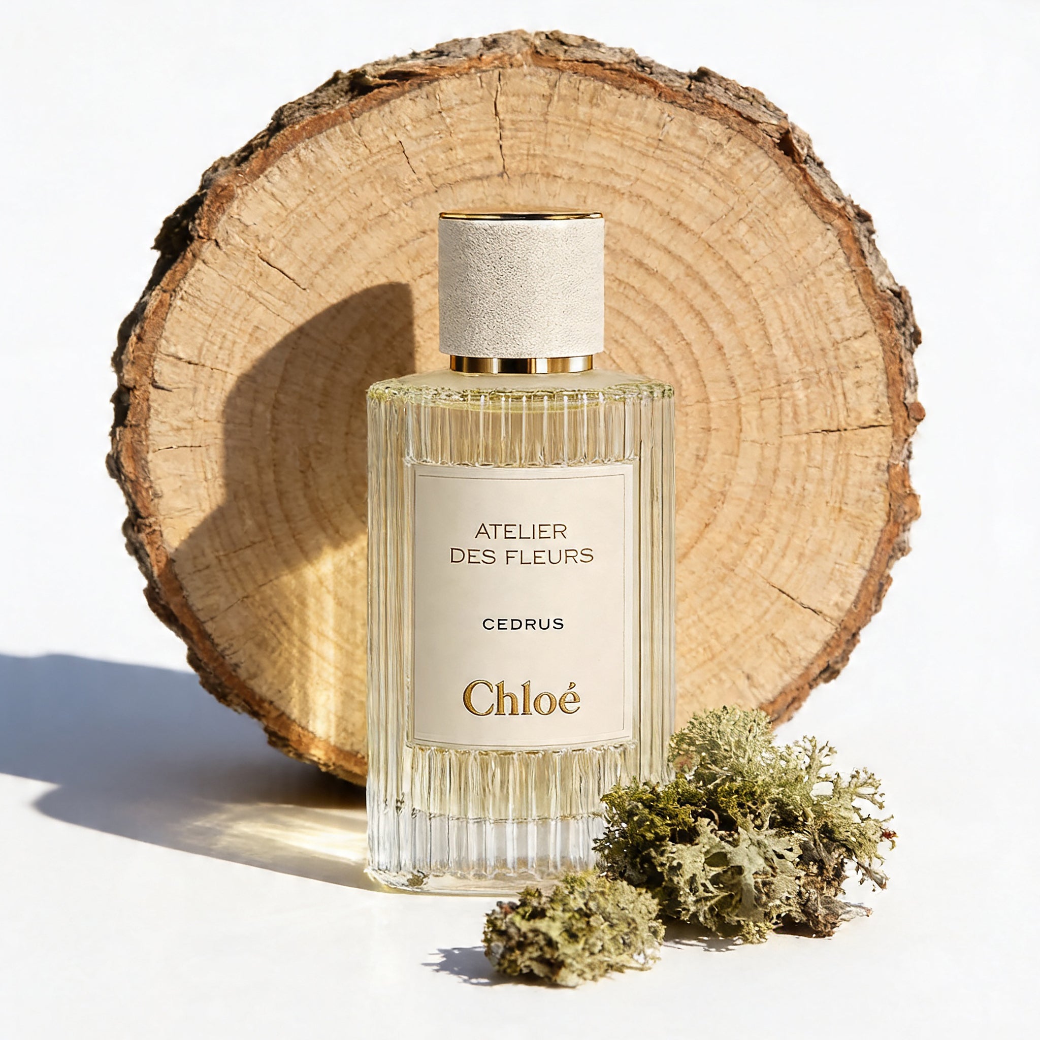 CHLOE Cedrus Eau de Parfum – PERFUME BAR PRIVÉ