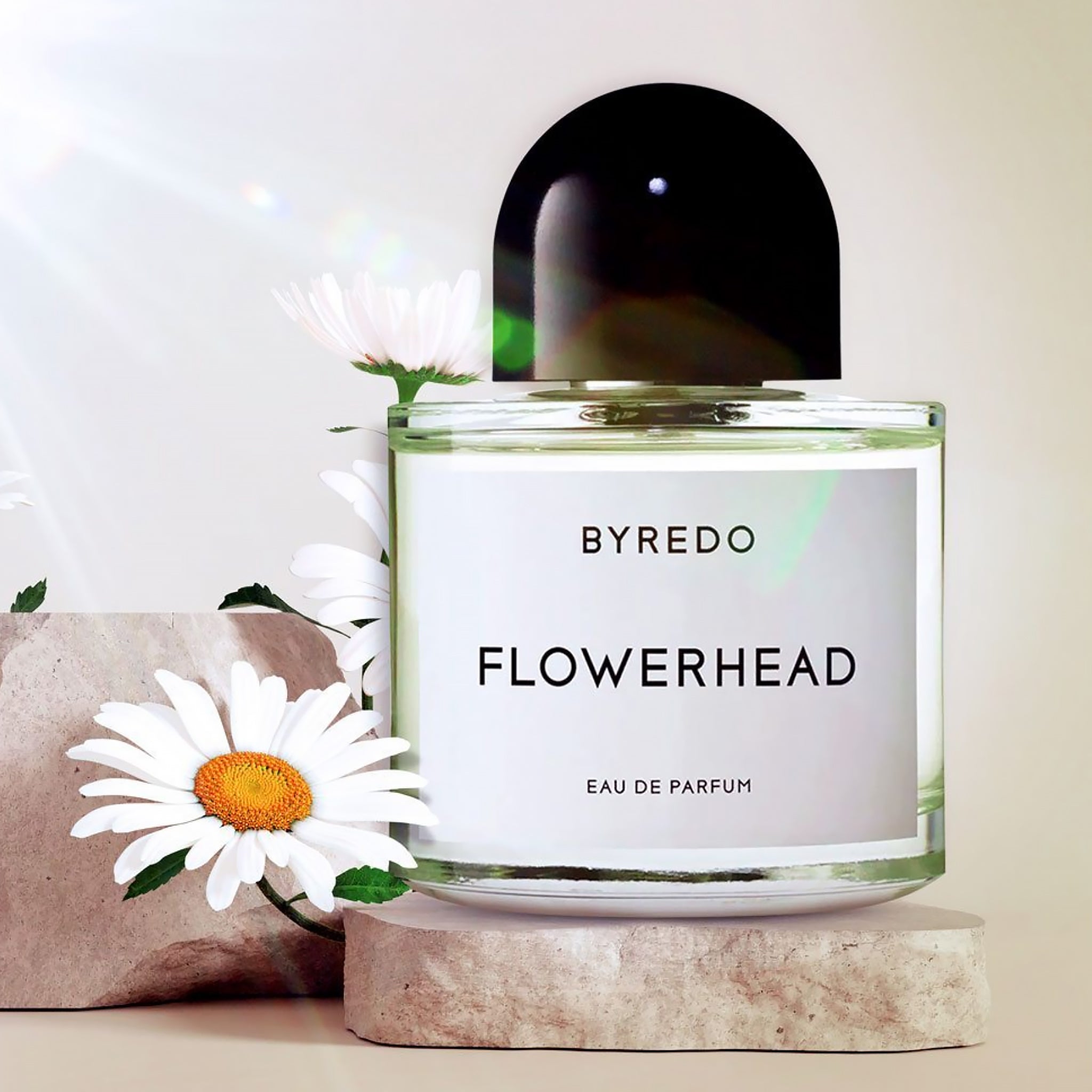 BYREDO Flowerhead Eau de Parfum (DISCONTINUED) – PERFUME BAR PRIVÉ