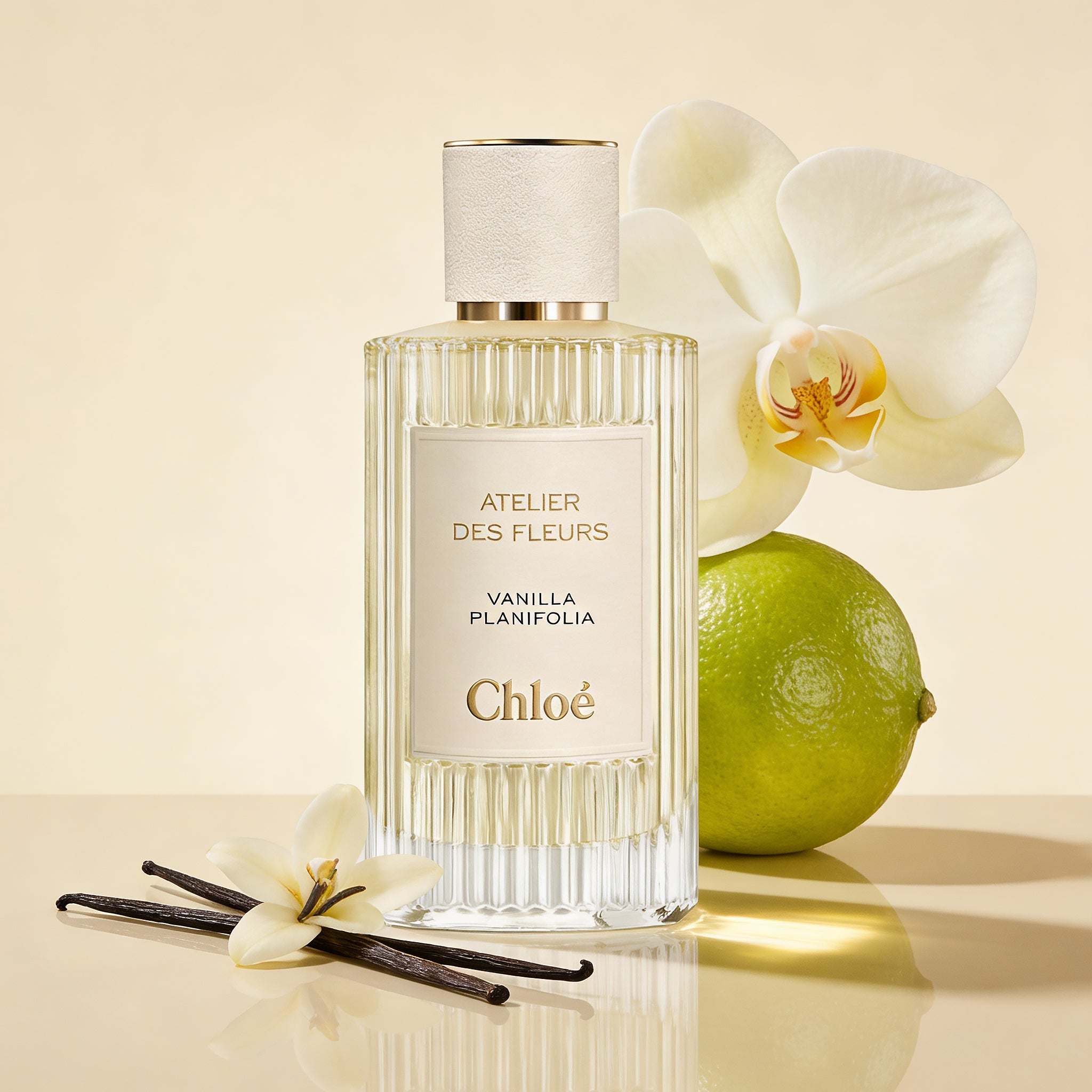 CHLOE Vanilla Planifolia Eau de Parfum – PERFUME BAR PRIVÉ