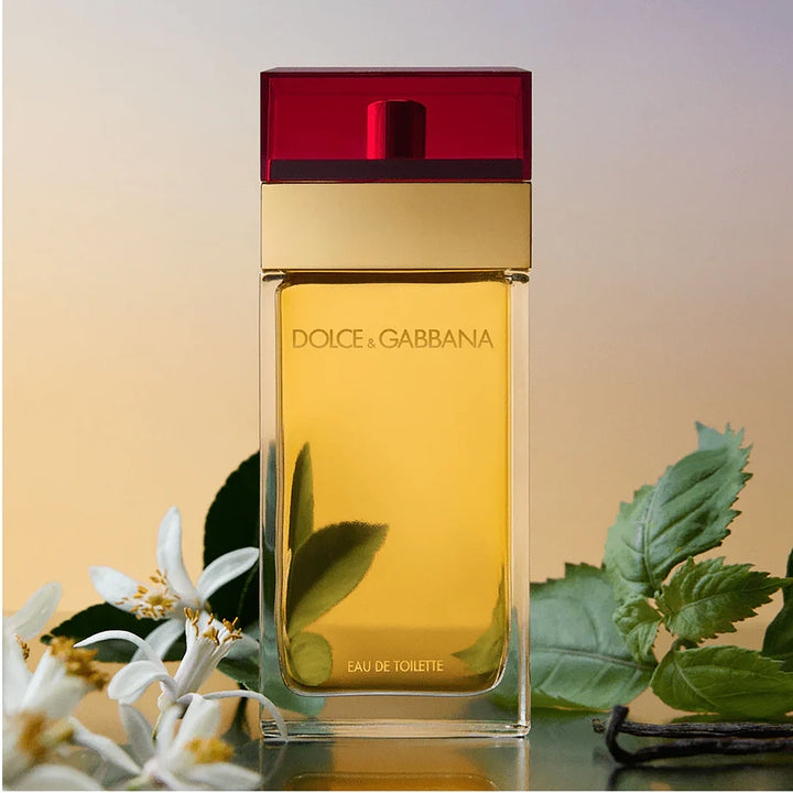 DOLCE &amp; GABBANA Pour Femme Eau de Toilette (SPECIAL OFFER)
