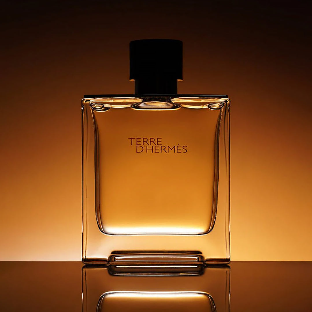 HERMES Terre D&