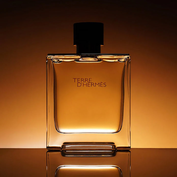 HERMES Terre D&