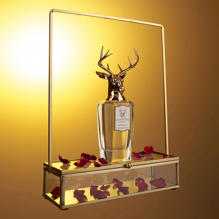 PANA DORA Dorasima EDP