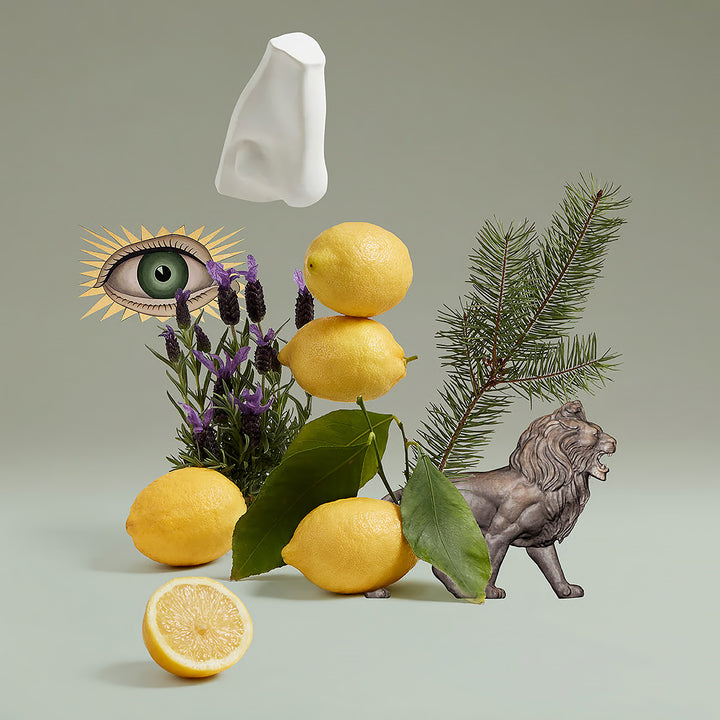 PENHALIGON&