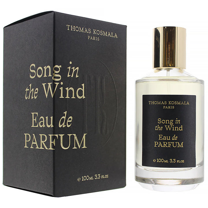 THOMAS KOSMALA Song In The Wind EDP (DAILY SPECIALS)