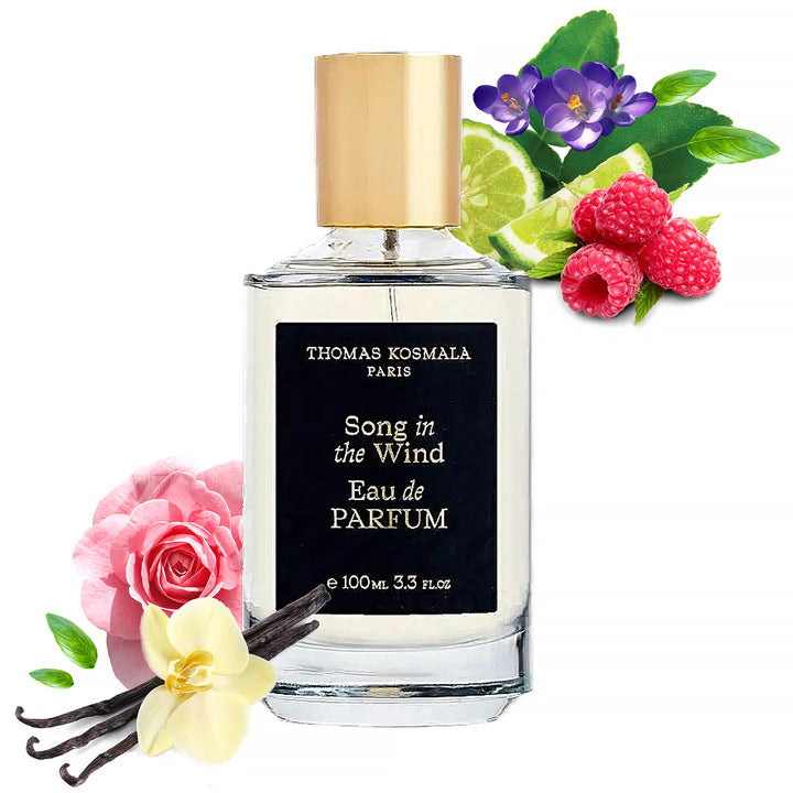 THOMAS KOSMALA Song In The Wind EDP (DAILY SPECIALS)
