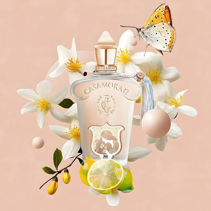XERJOFF Dama Bianca Eau de Parfum - בושם נישה לנשים, דוגמיות בשמים ודיקנטים
